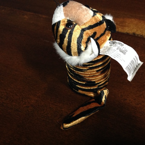 Slinky pets Tiger. - Picture 6 of 6
